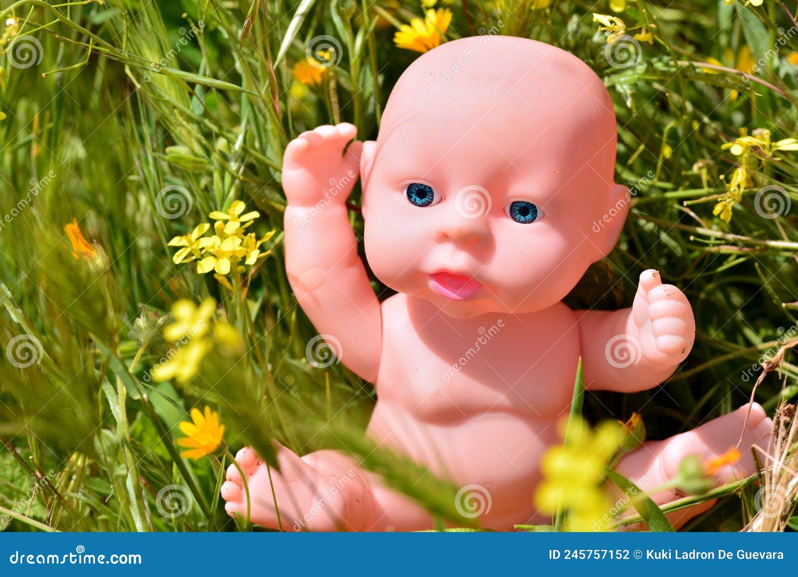 traditional baby doll among the grass