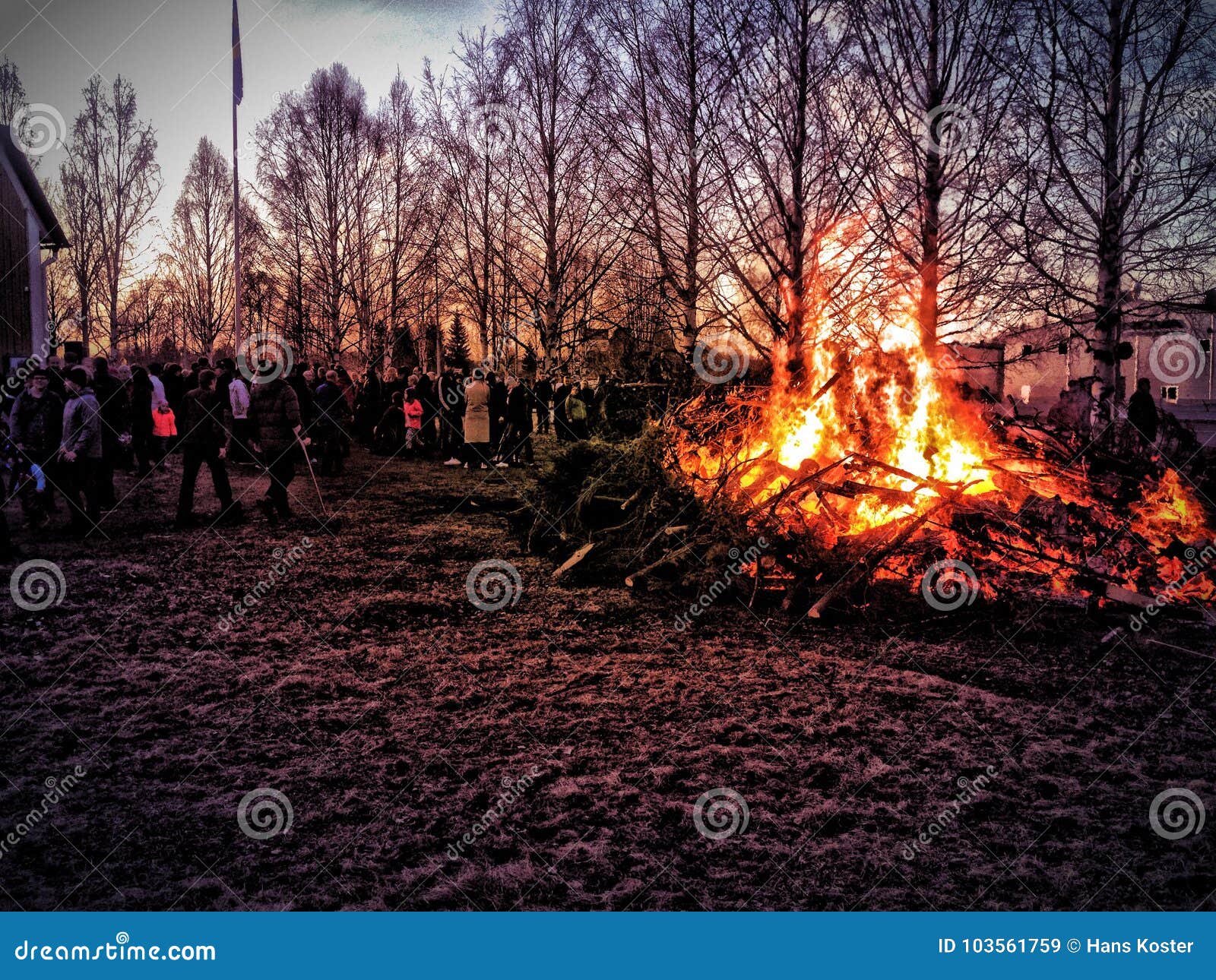 Traditional Bonfire in Sweden Editorial Stock Image - Image of last