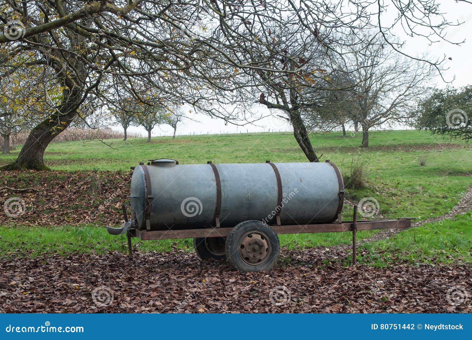 Traditional Cattle Watering Tank Stock Photo Image of water, outdoor