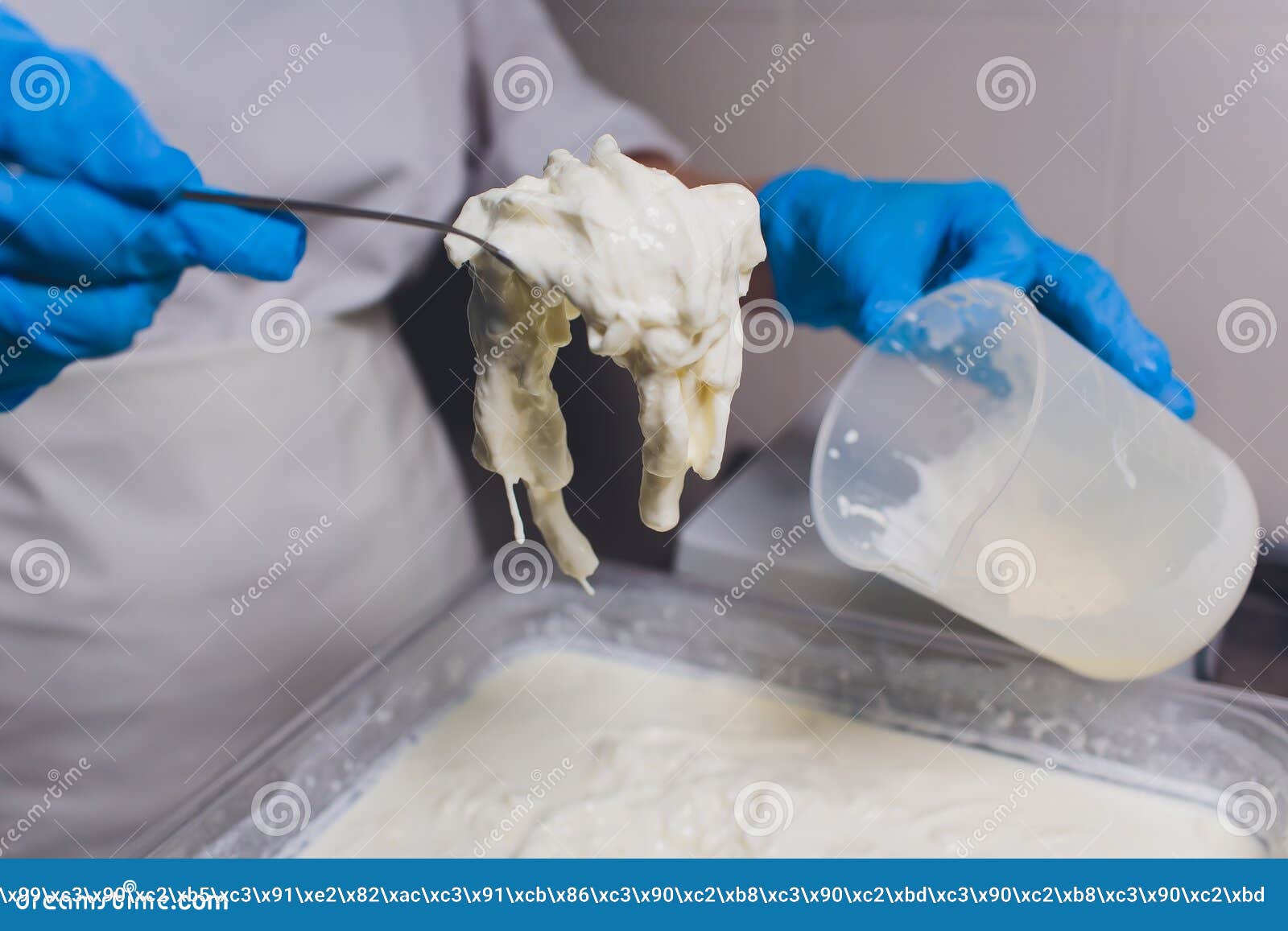 Traditional Cheese Making in a Small Company. Cheese Maker Hands Close