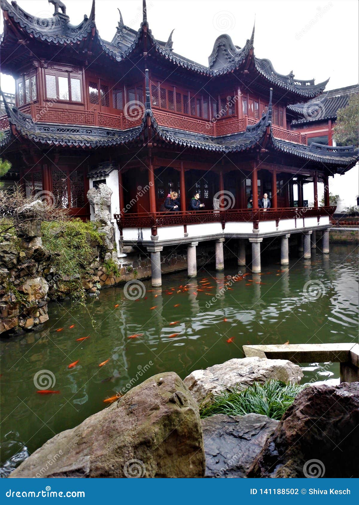 Traditional Chinese Buildings, Lake and Fishes in Shanghai City. Nature and Editorial Photography - Image design, charm: 141188502
