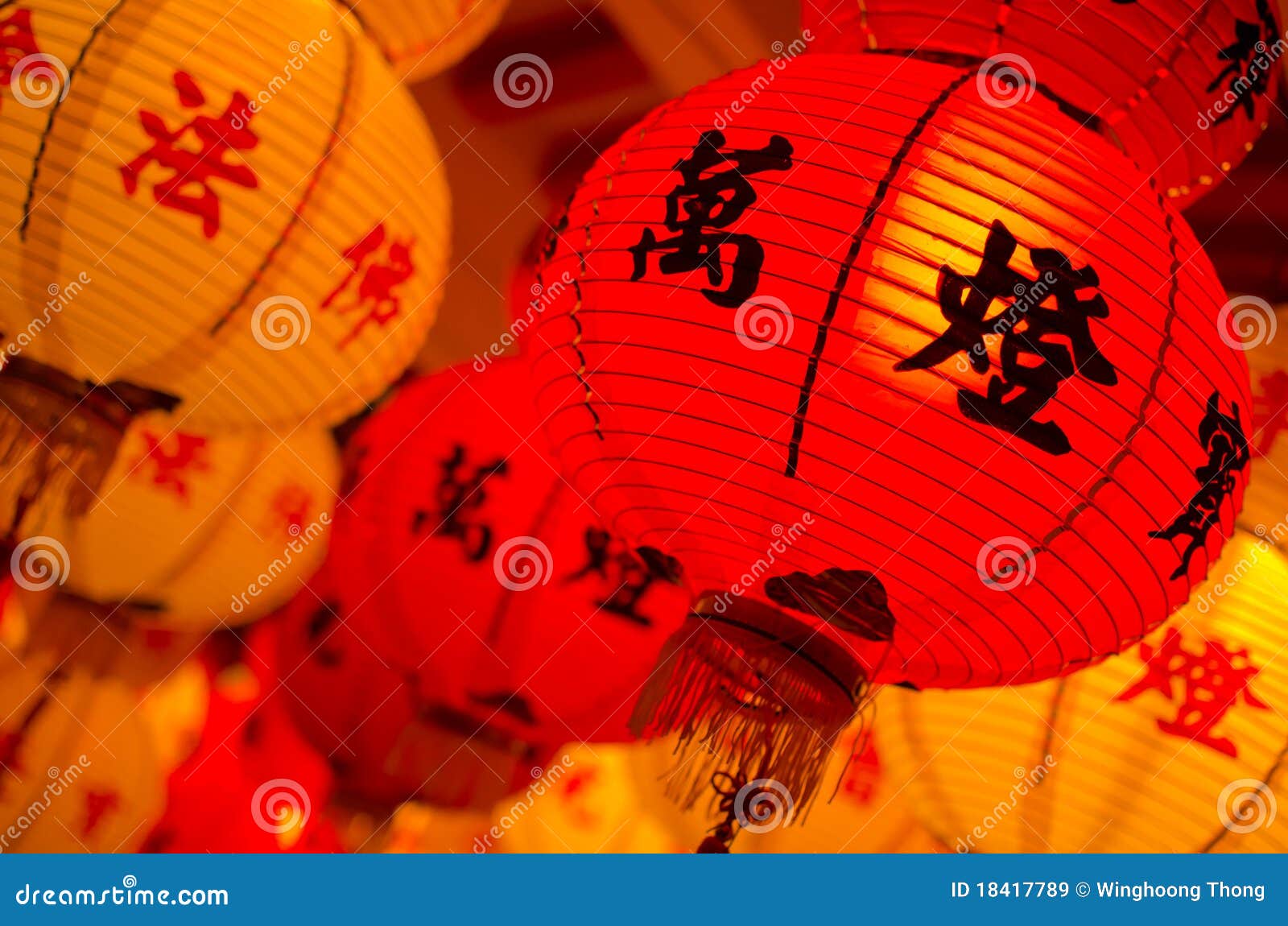 traditional chinese new year lantern