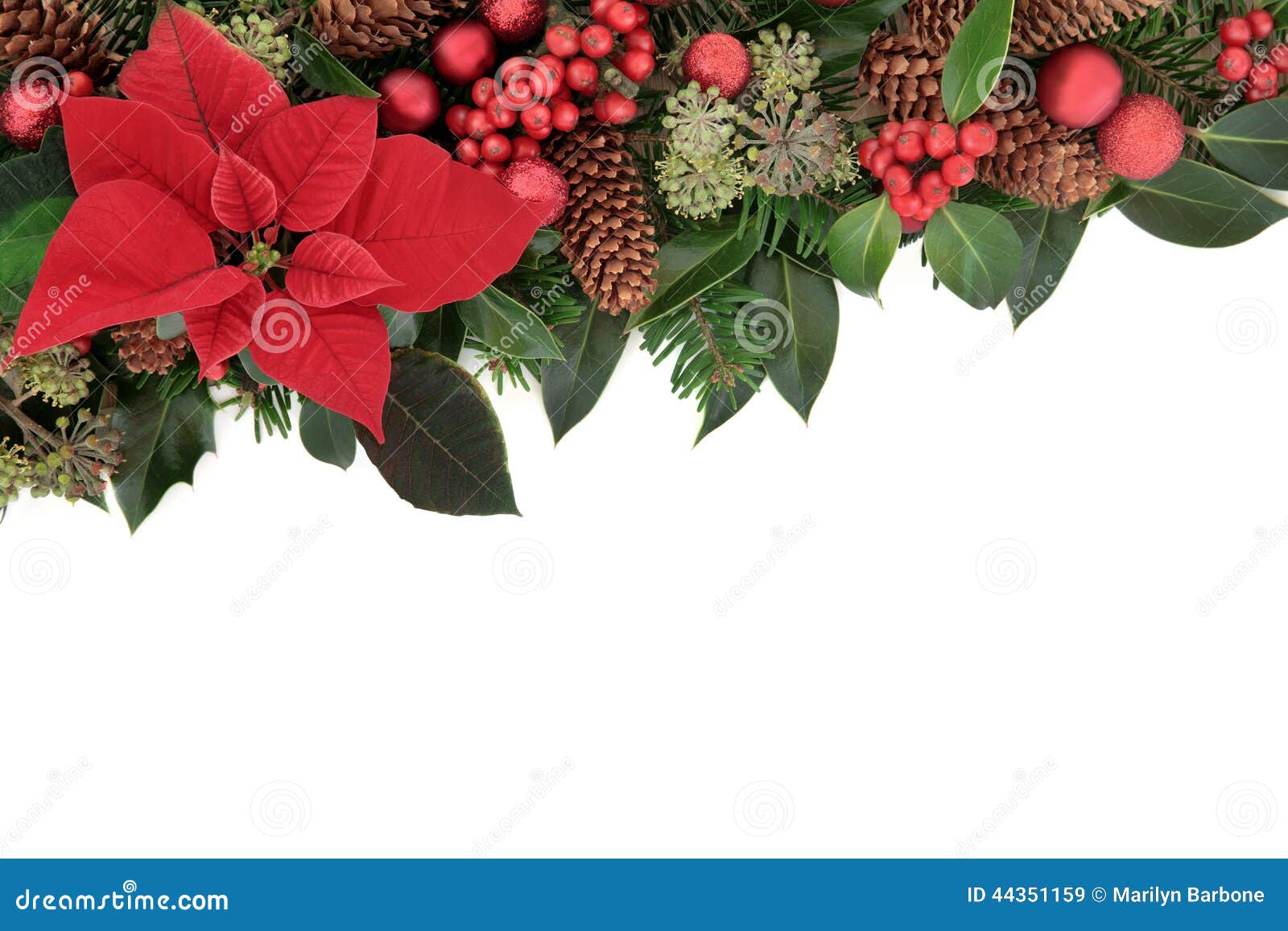 Traditional Christmas Border Stock Image - Image of natural, flora ...
