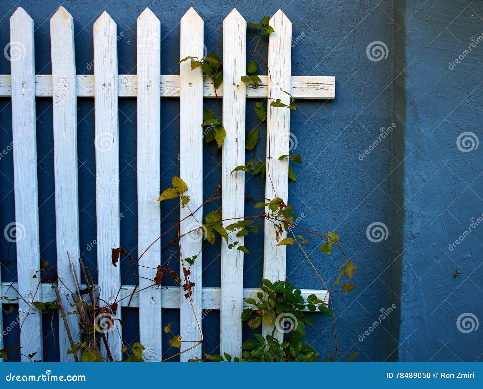 Traditional Classic Design White Wooden Fence Stock Photo - Image ...