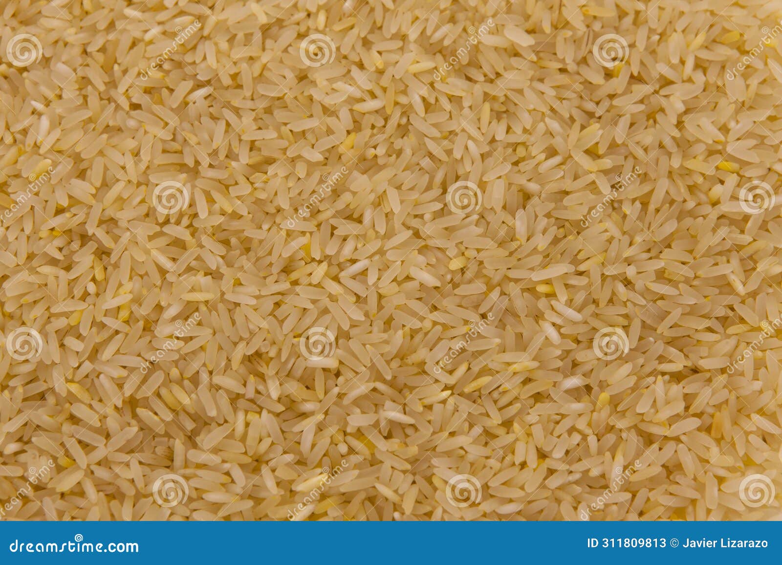 close-up of raw yellow rice grains