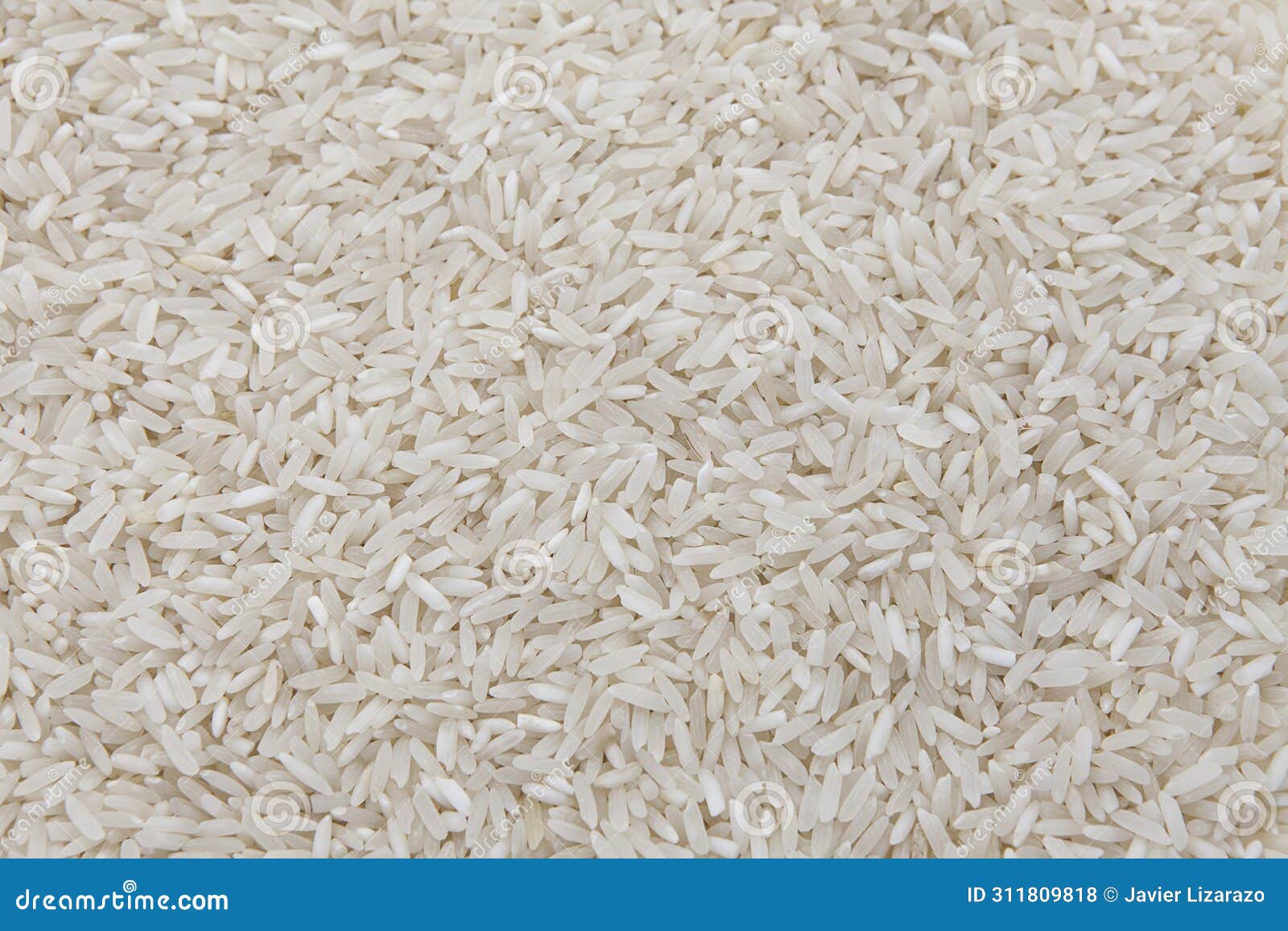 close-up of raw white rice grains