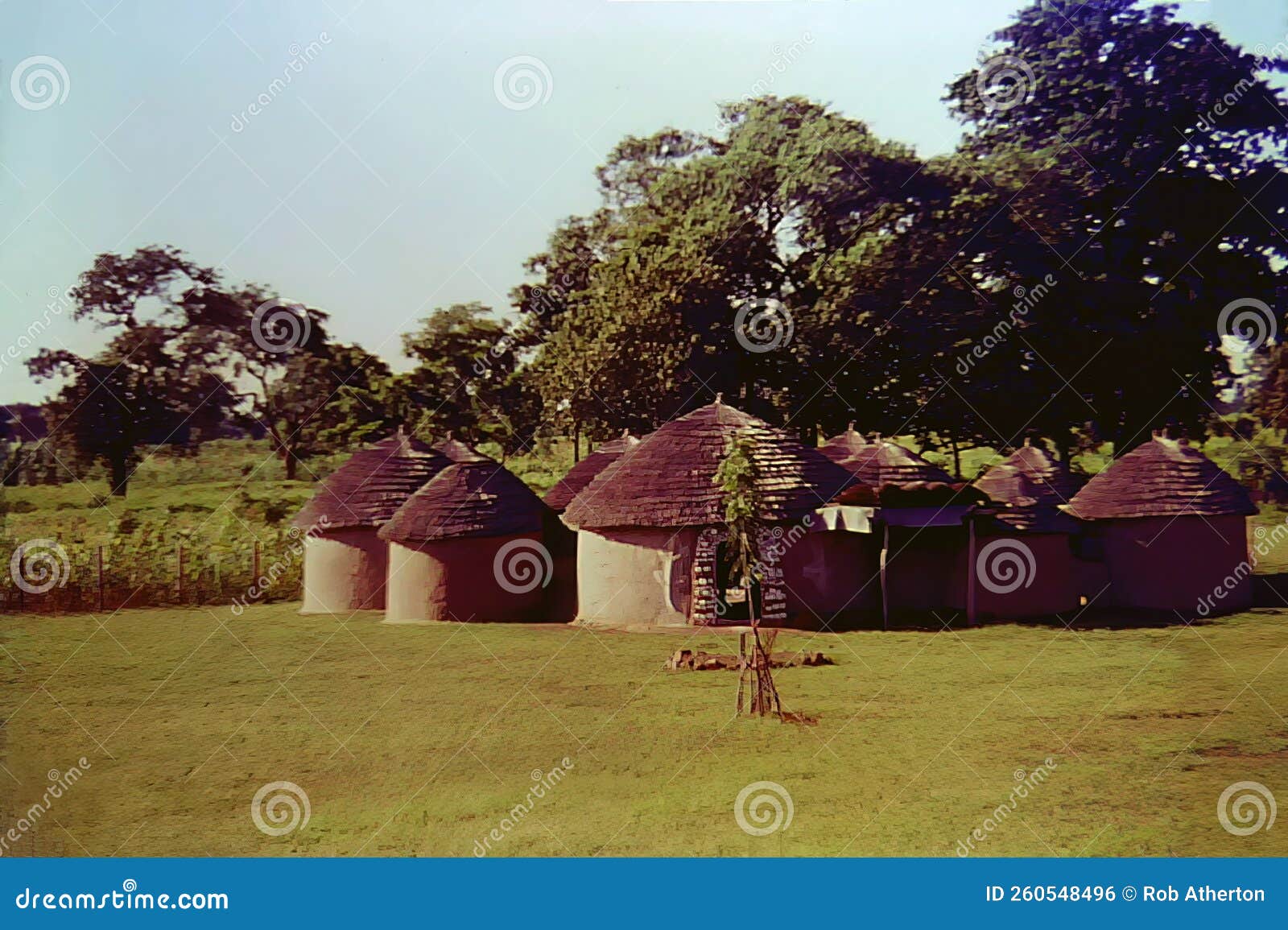 traditional dagomba houses in the northern region of ghana, c.1959