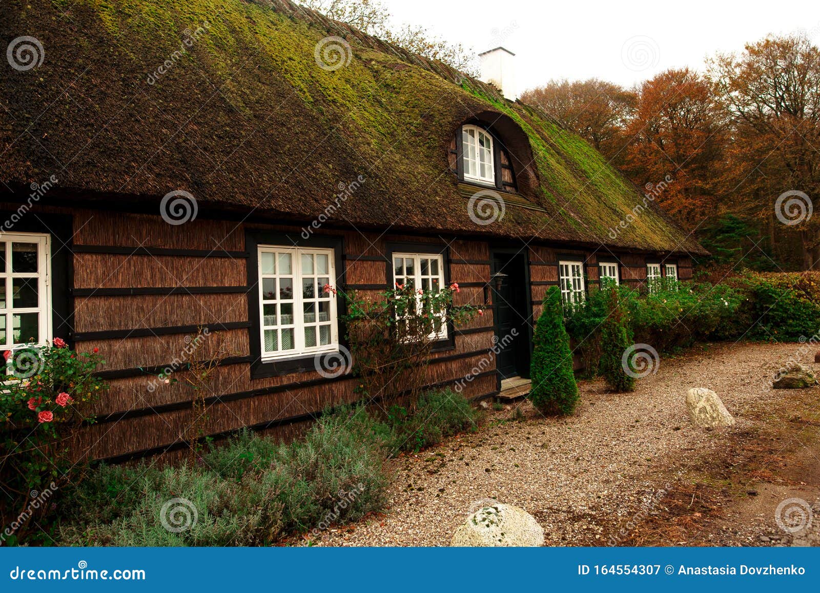 Traditional Danish House in the Small with Small Nice Cottages and Green Fences. NATURE. DENMARK FARM HOUSE Stock - Image of beautiful, 164554307