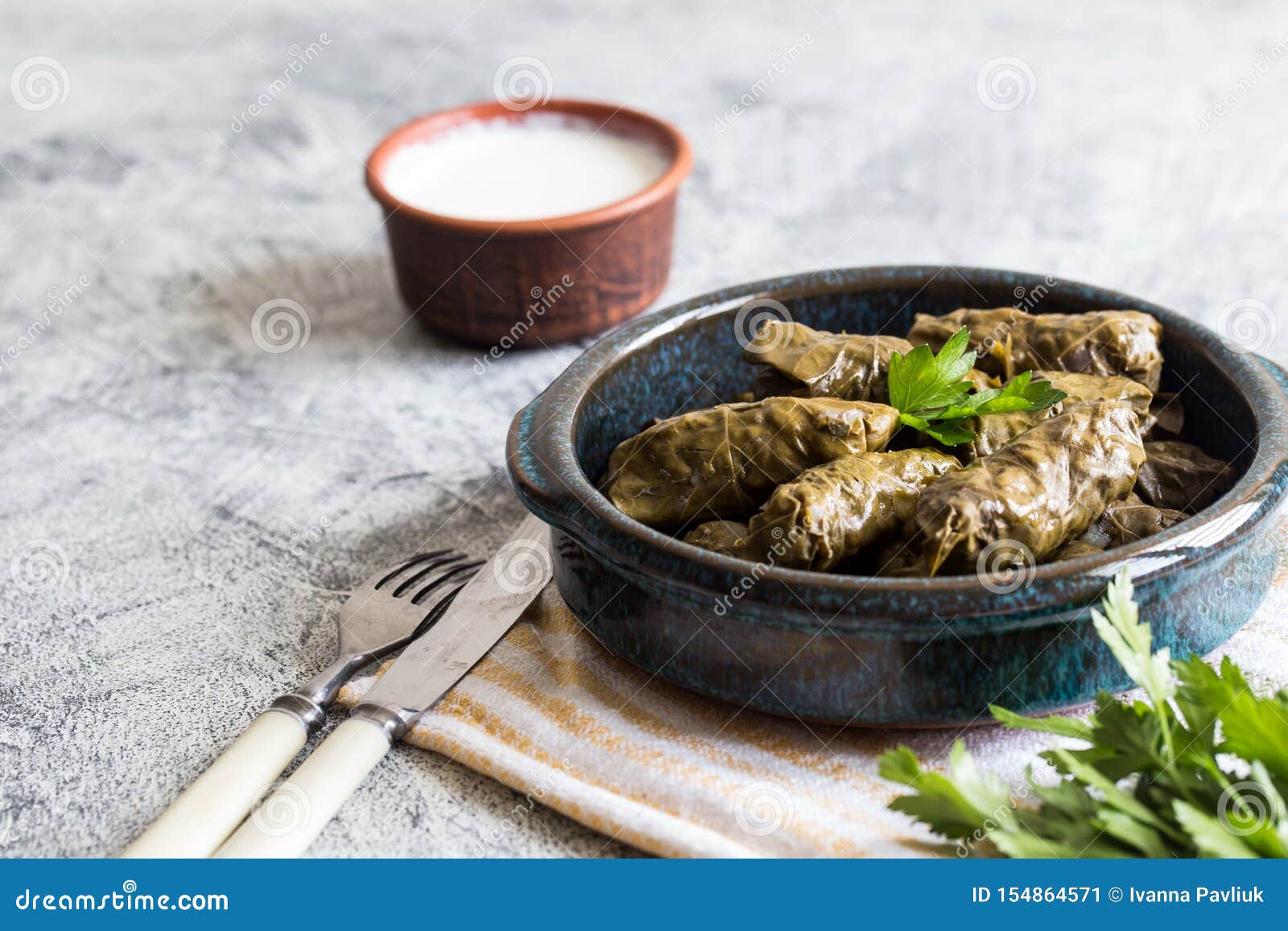 traditional dolma  sarma in grape leaves with copyspace. lebanon turkish greek middle eastern cuisine. dinner food dolmadakia