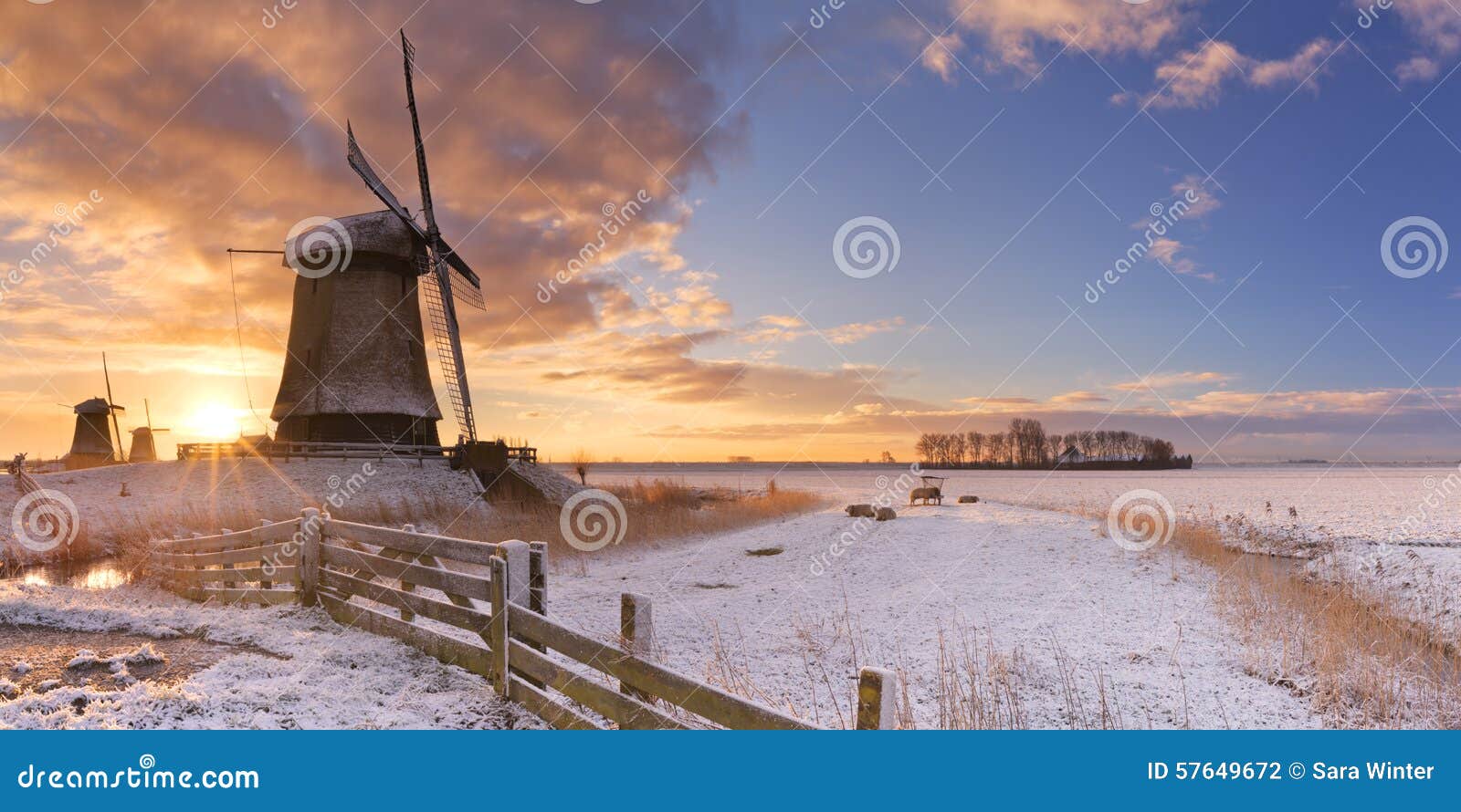 traditional dutch windmills in winter at sunrise
