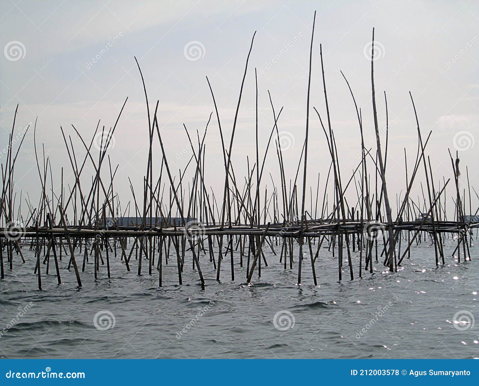 https://thumbs.dreamstime.com/z/traditional-fishing-gear-to-catch-fish-fishermen-bagan-bagang-fishing-instrument-lift-net-uses-nets-lights-212003578.jpg