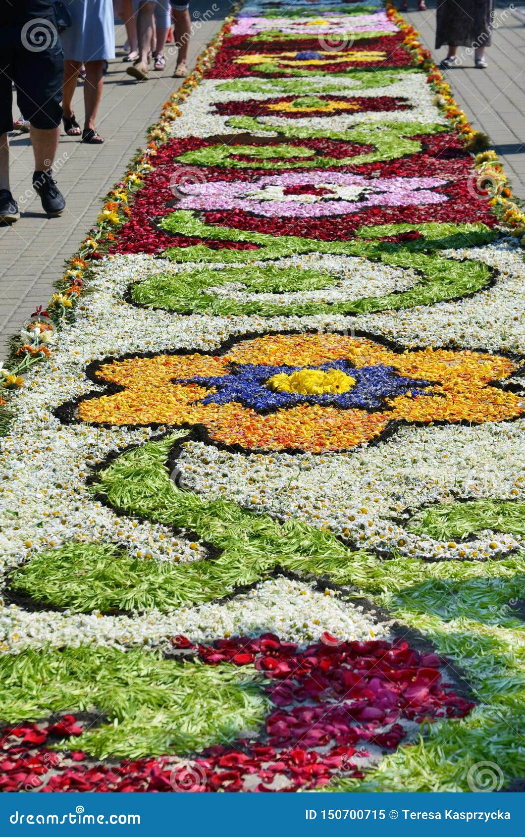 Traditional Flower Carpets In Spycimierz In Corpus Christi Day