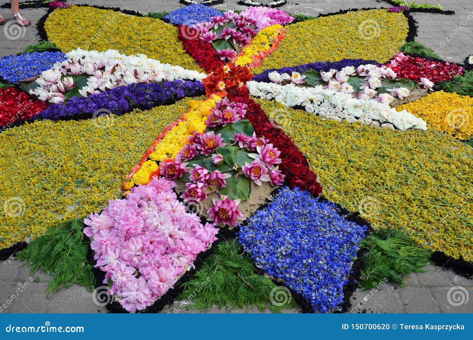 Traditional Flower Carpets In Spycimierz In Corpus Christi Day