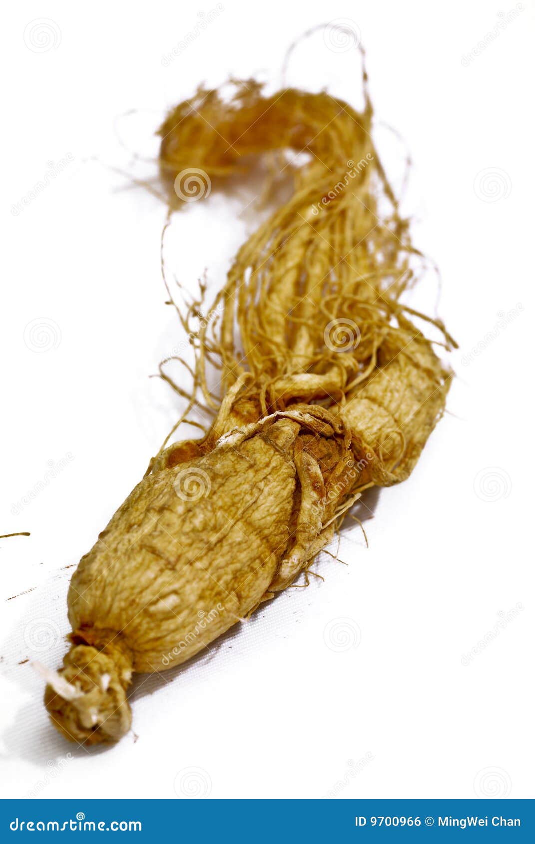 Traditional Ginseng Herb 01 Stock Photo Image of blend, isolated 9700966