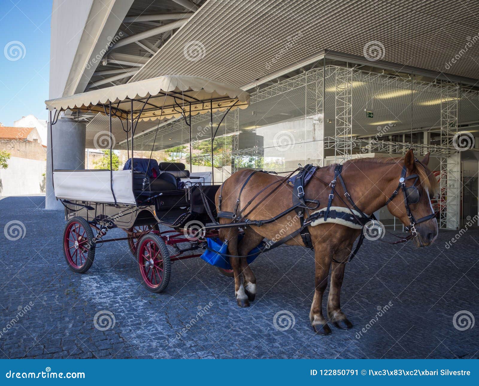 traditional horse and carriage near museu dos coches in lisbon