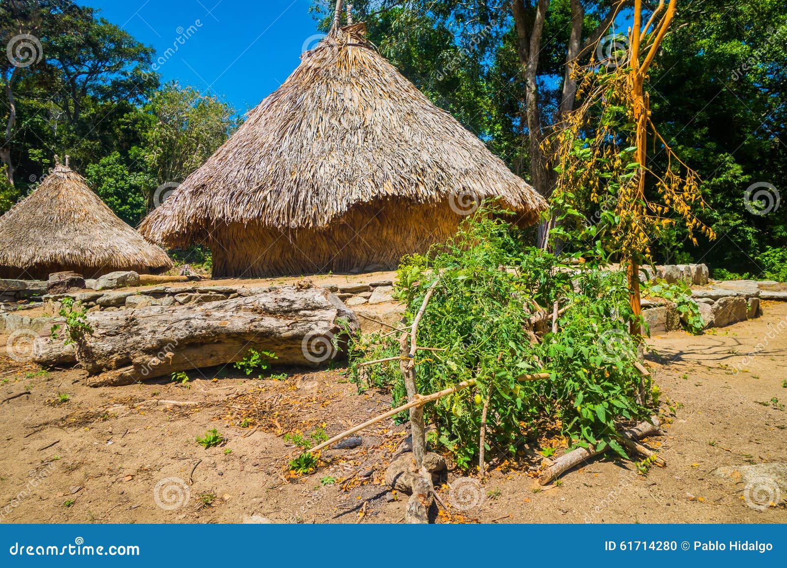traditional house of kogi people, indigenous ethnic group, colombia