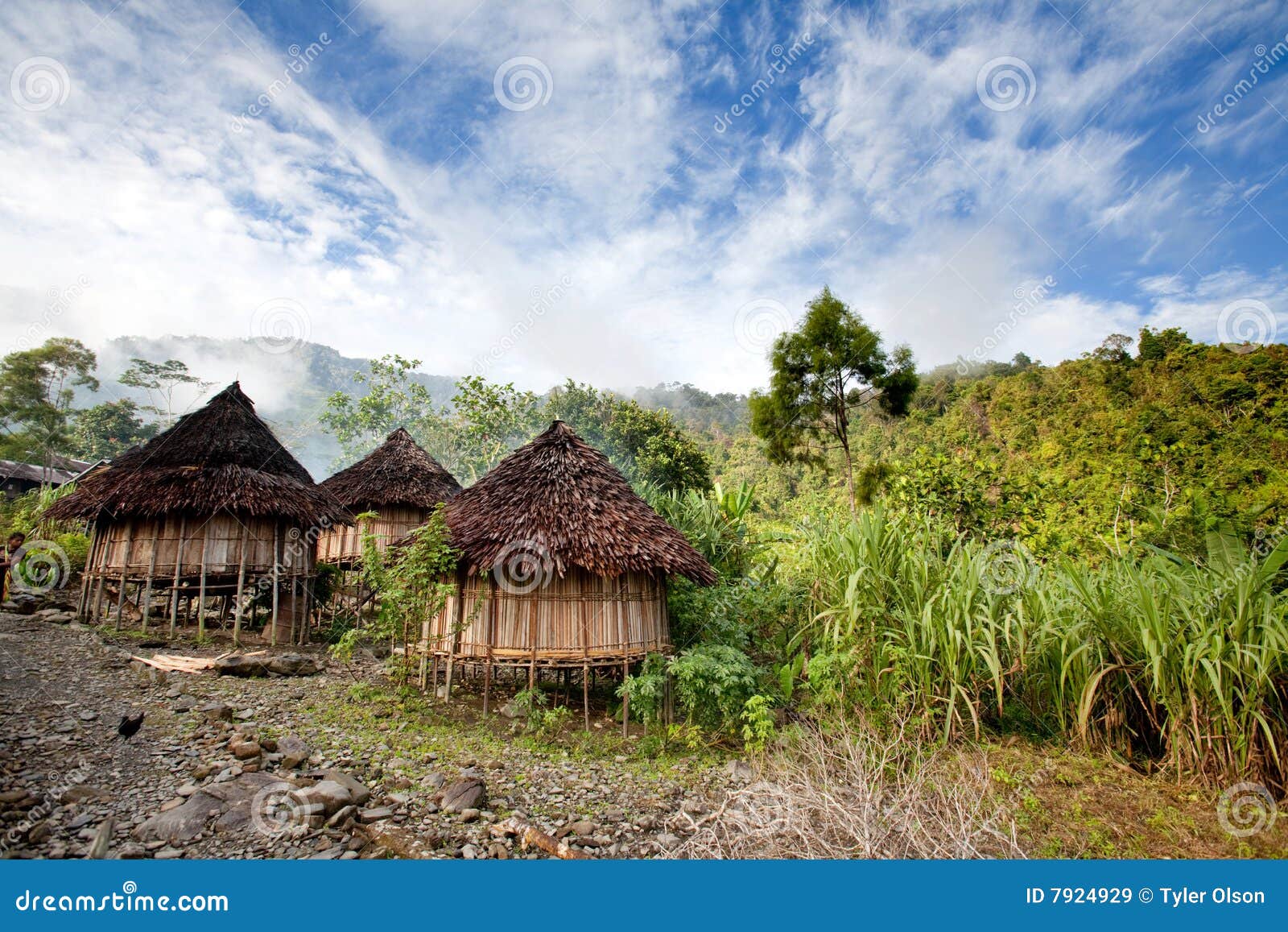 To accelerate Linguistics Scrutiny 470 Aboriginal Hut Traditional Stock Photos - Free & Royalty-Free Stock  Photos from Dreamstime