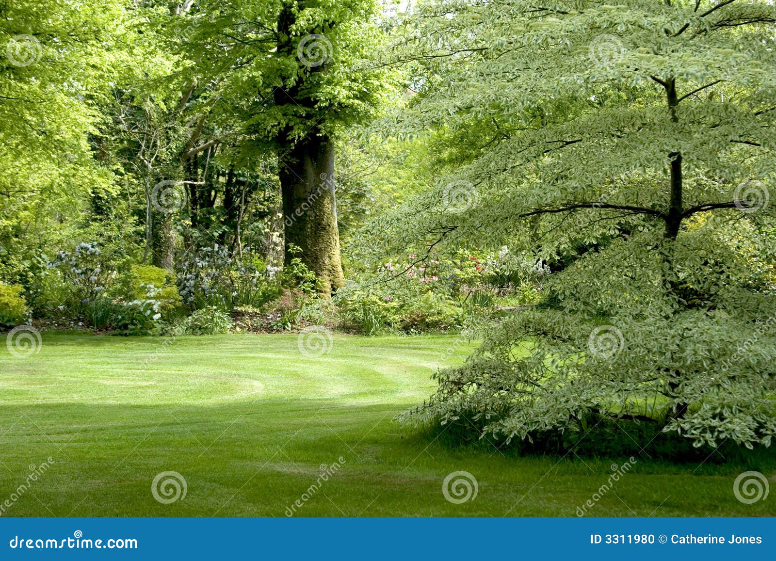 Traditional Irish Garden stock photo. Image of summer 3311980