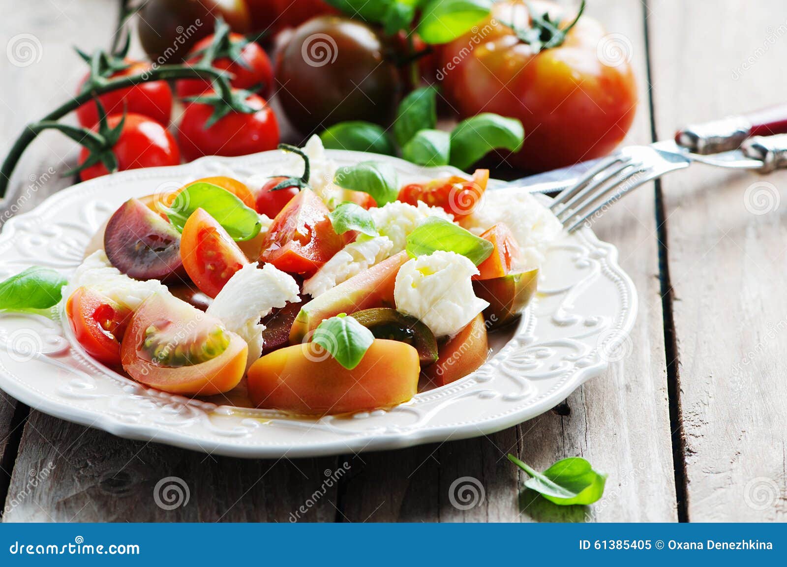Traditional Italian Antipasto Caprese with Mozzarella Stock Image