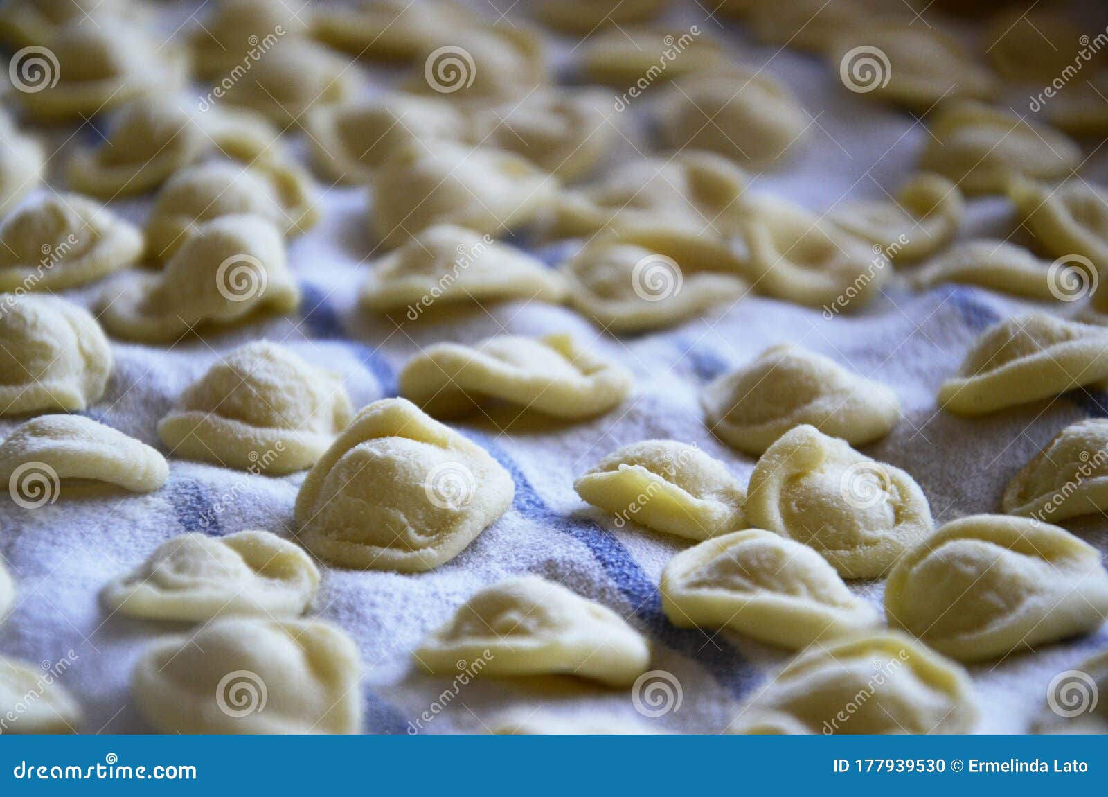 traditional italian homemade pasta : orecchiette