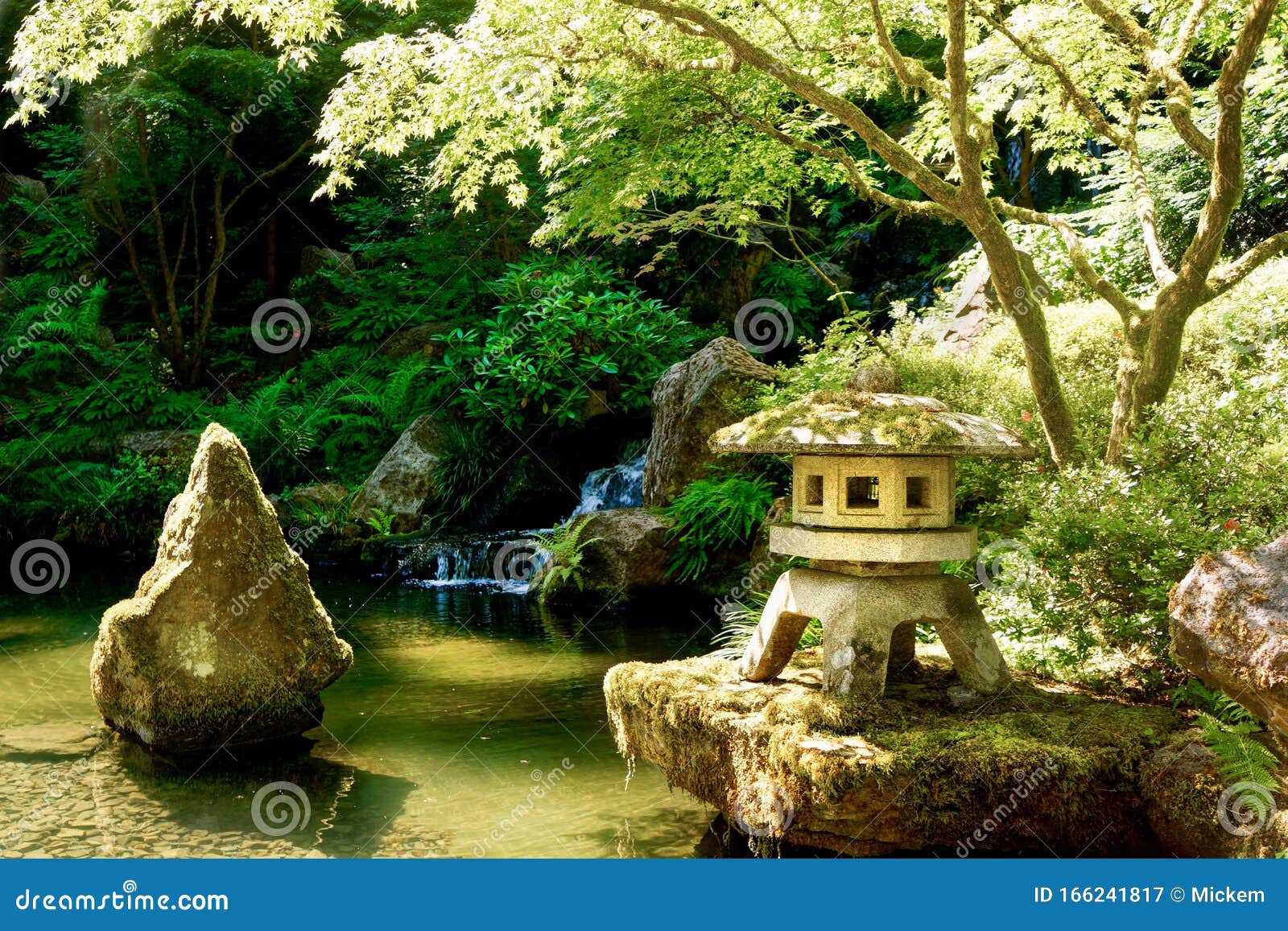 Japanese Garden Portland Oregon Stock Image Image Of Blooms