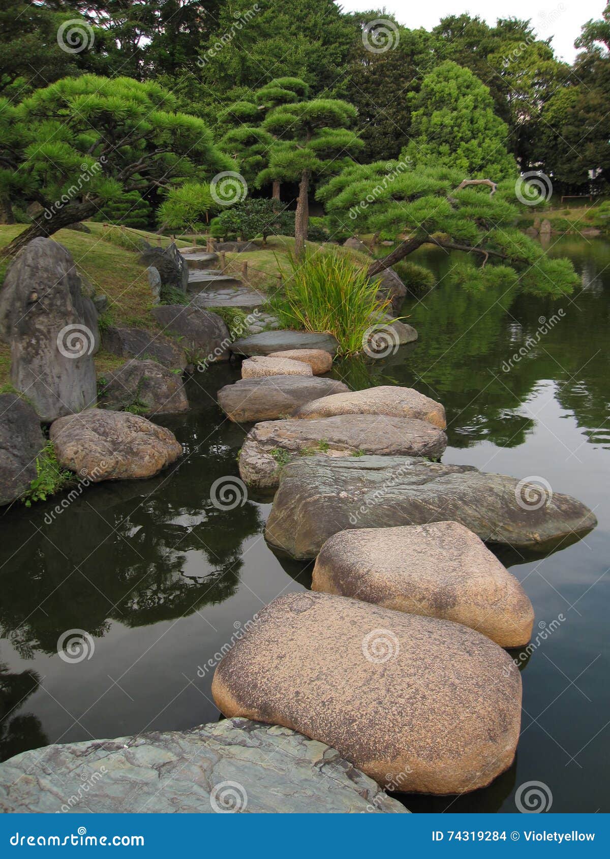 traditional japanese garden with stepping stone pathways