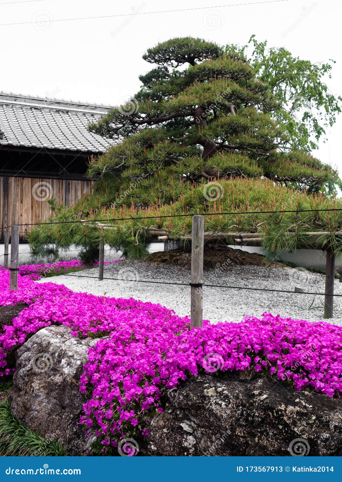 Traditional Japanese Rock Garden In Springtime Stock Image - Image of ...