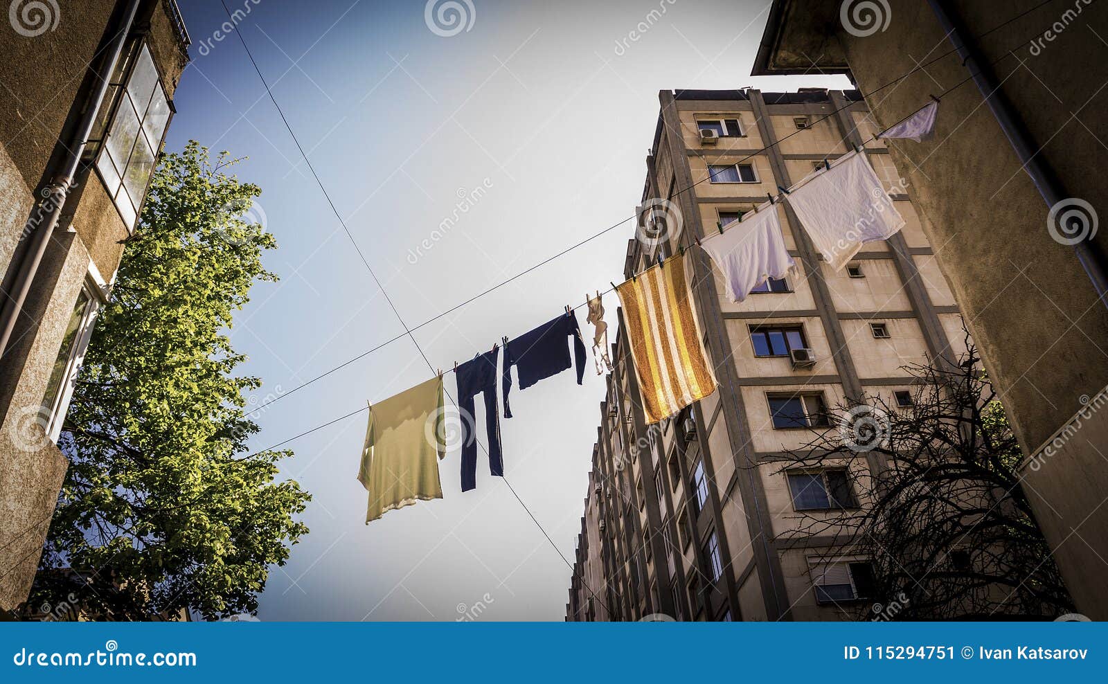 a laundry stretched out on the street drying in the midday sun.