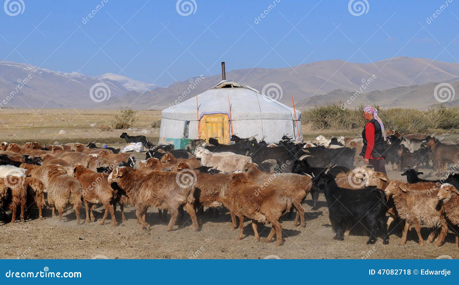 traditional-life-mongolia-farmer-herd-sh