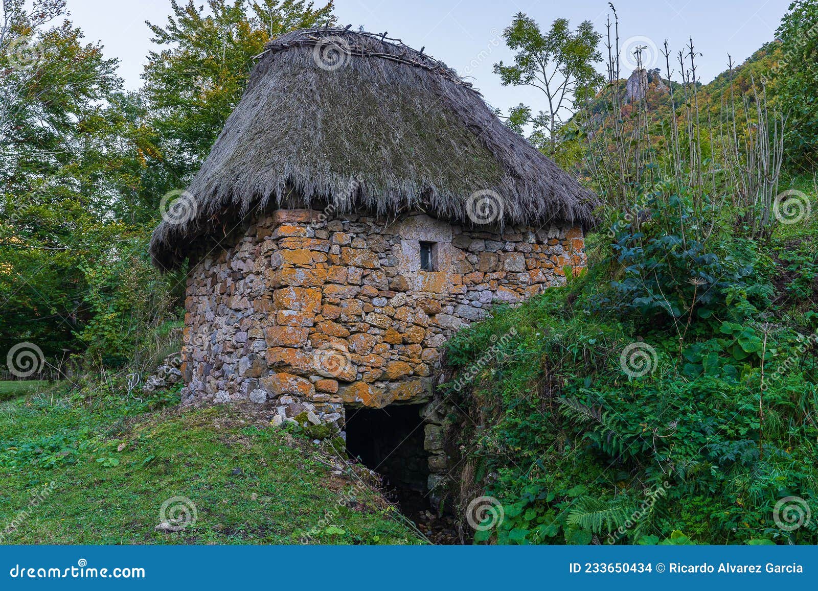 traditional mill with a broom roof, teito, in the town of valle de lago in the council of somiedo, in asturias.