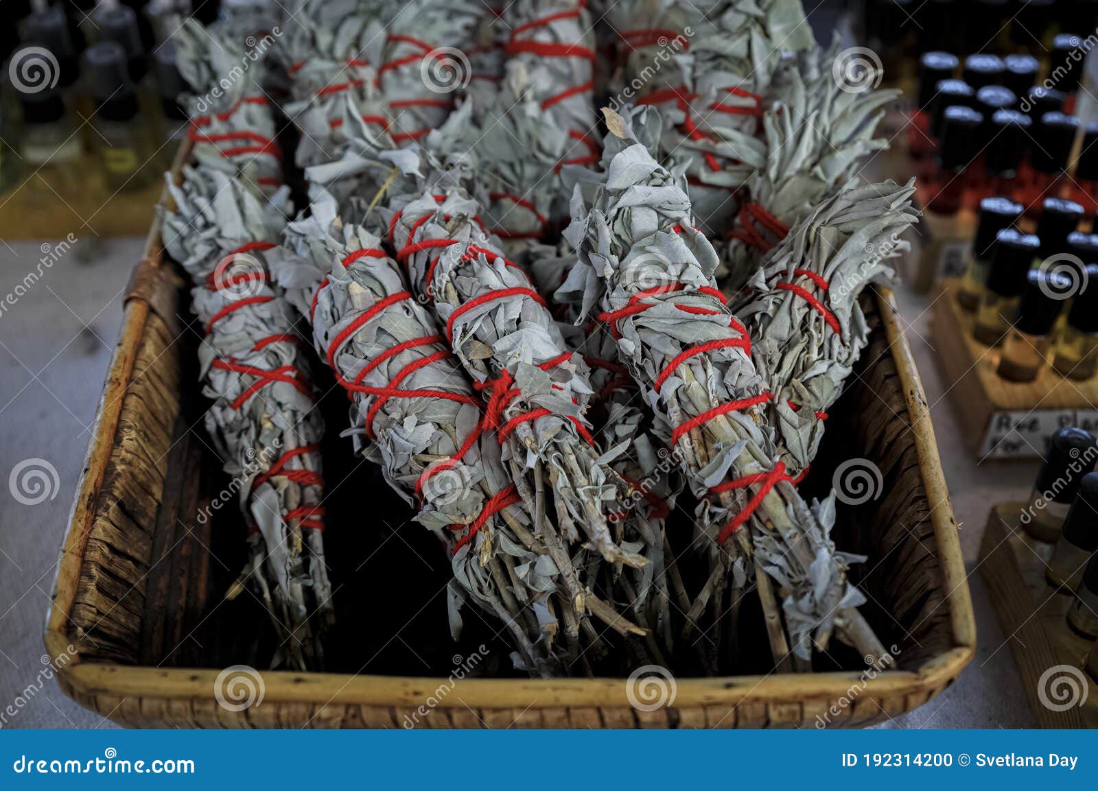 Traditional Native American Indian Ritual White Sage Smudge Sticks For Sale At A Powwow, San