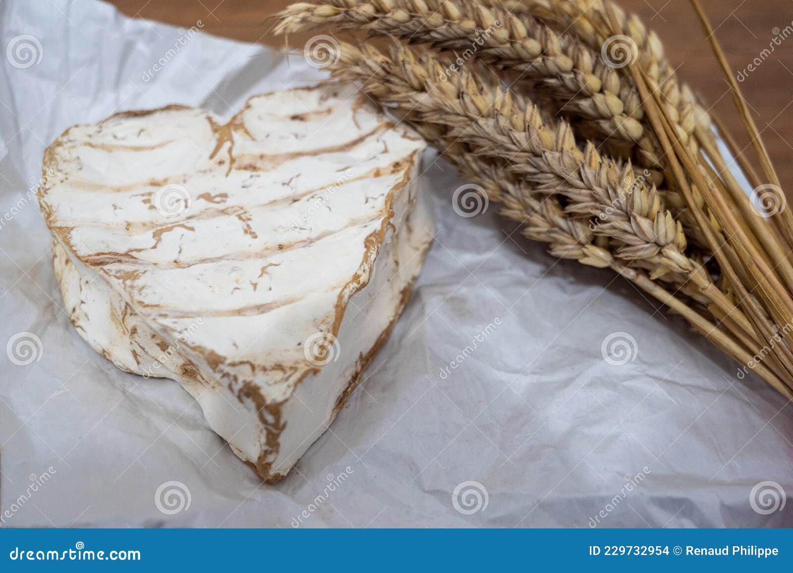 Traditional Neufchatel Cheese, Dairy Product, France Stock Photo