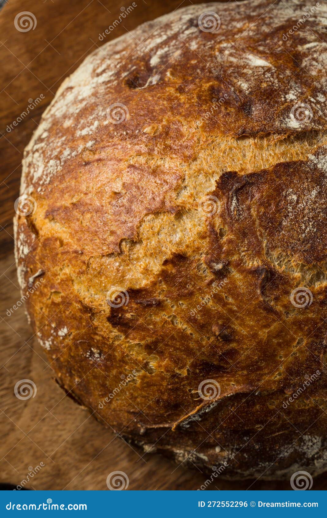 Traditional No Knead Peasant Bread Stock Photo Image of eating, loaf 272552296