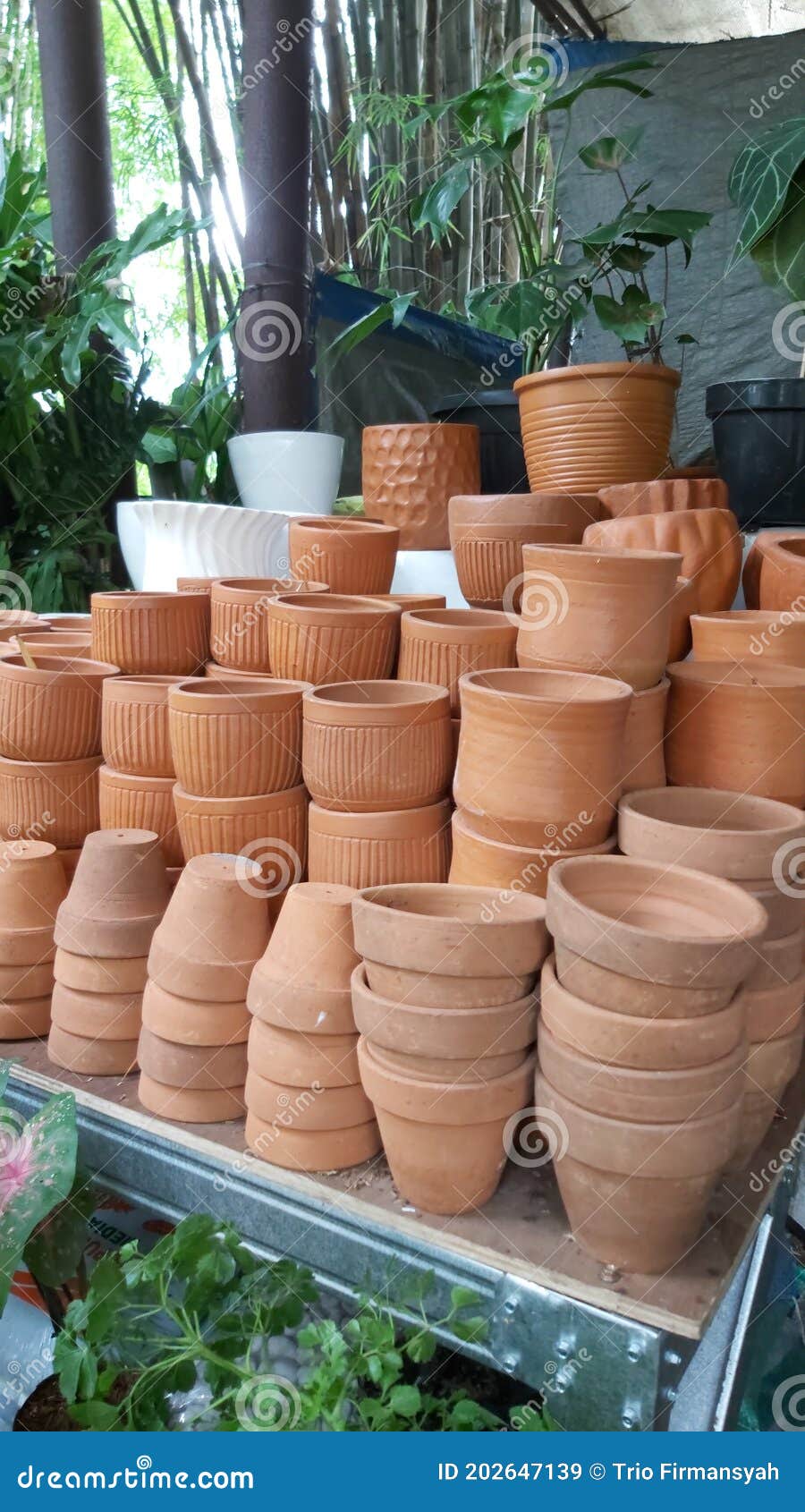 Traditional Pottery for Plants Stock Image Image of wall, dessert