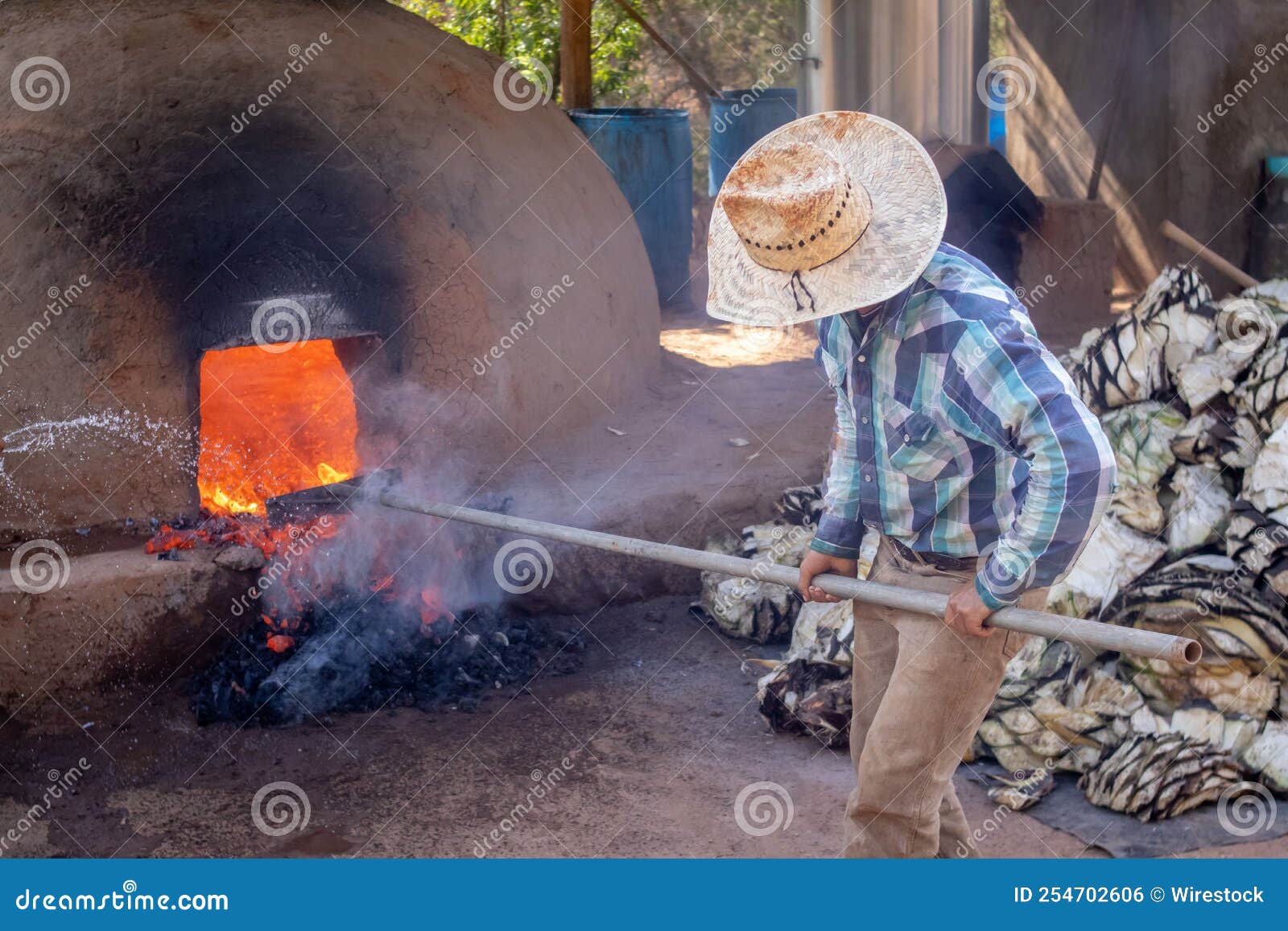 traditional process of preparing raicilla.