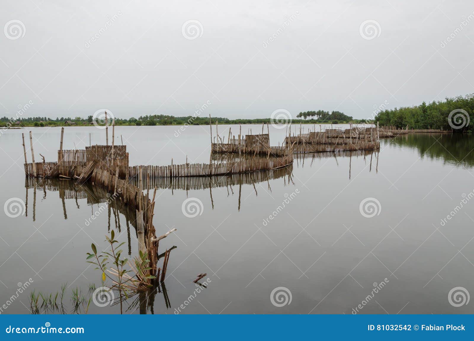 Traditional Reed Fishing Traps Used in Wetlands Near the Coast in