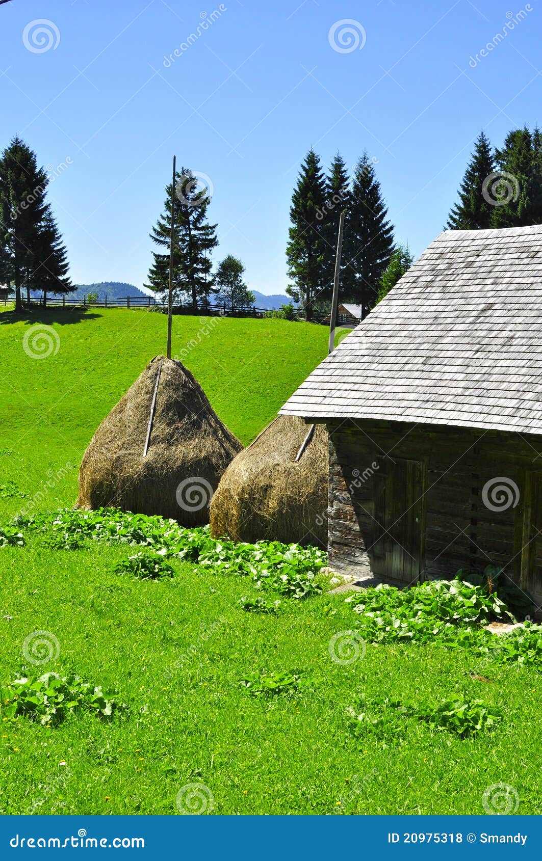 Traditional Romanian Village with Straw Bales Stock Photo Image of