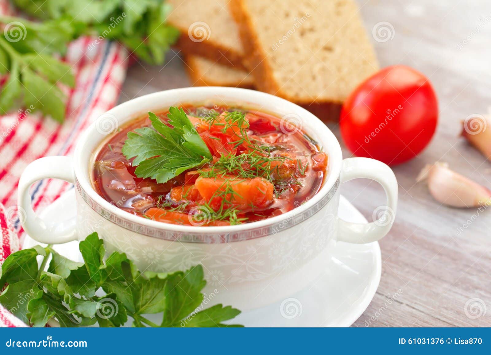 Traditional Russian Ukrainian Vegetable Soup Stock Photo Image of