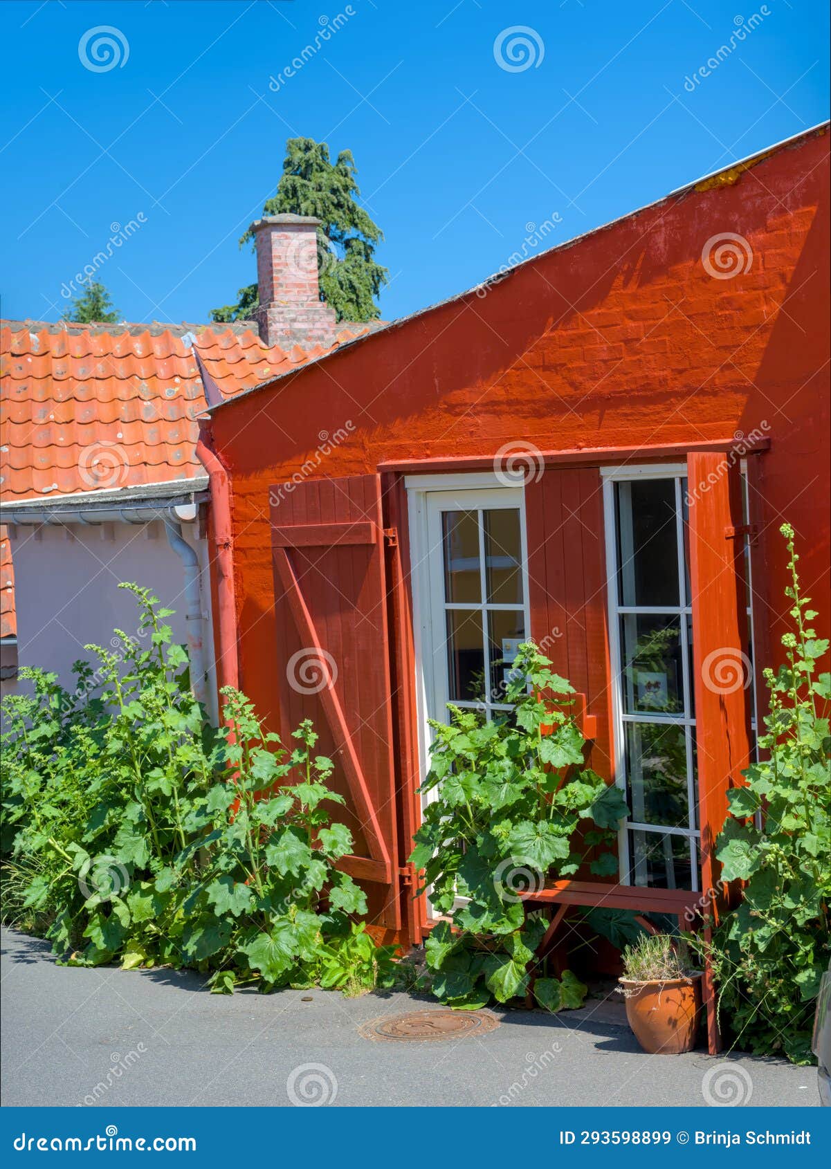 a traditional small,red,danish framehouse in summer in bornholm with blue sky