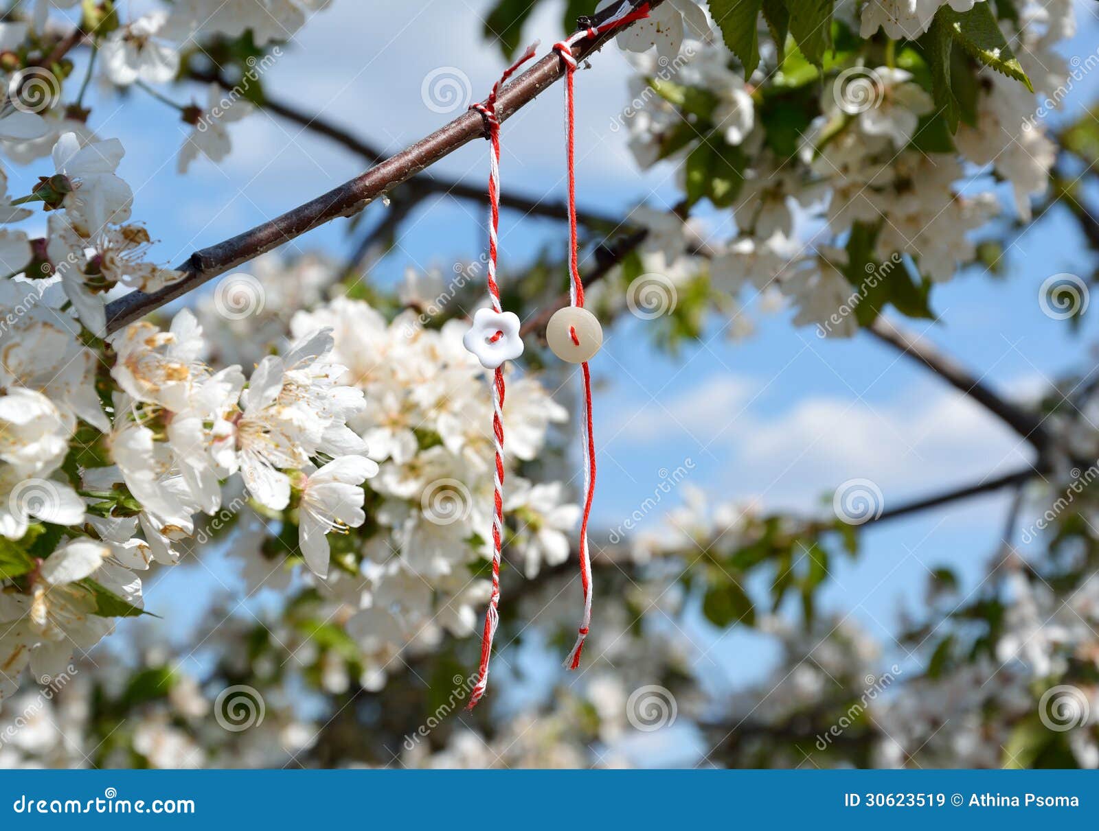 march bracelets hanging from a branch 