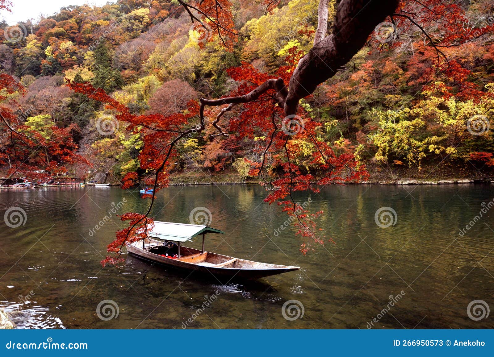 traditional touris travel boat on the river in kyoto city with autumn season background