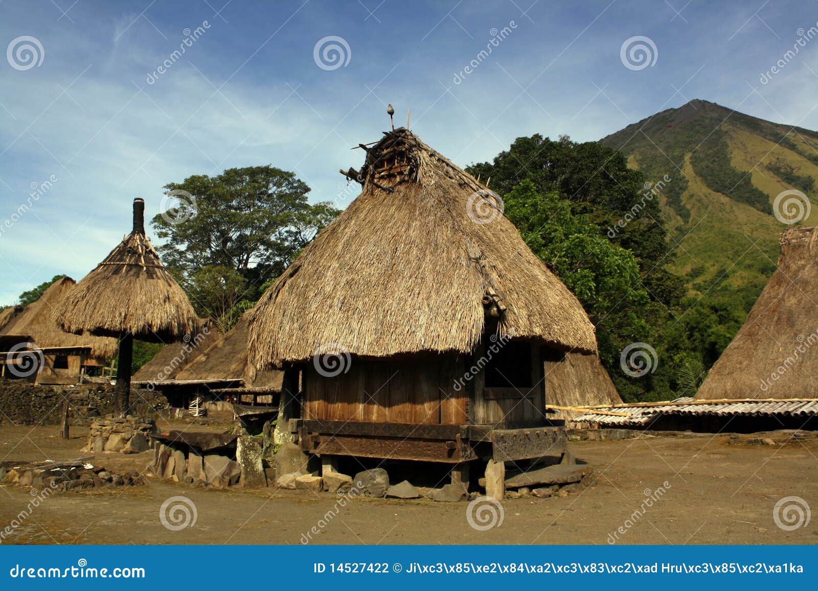 traditional vilage on flores