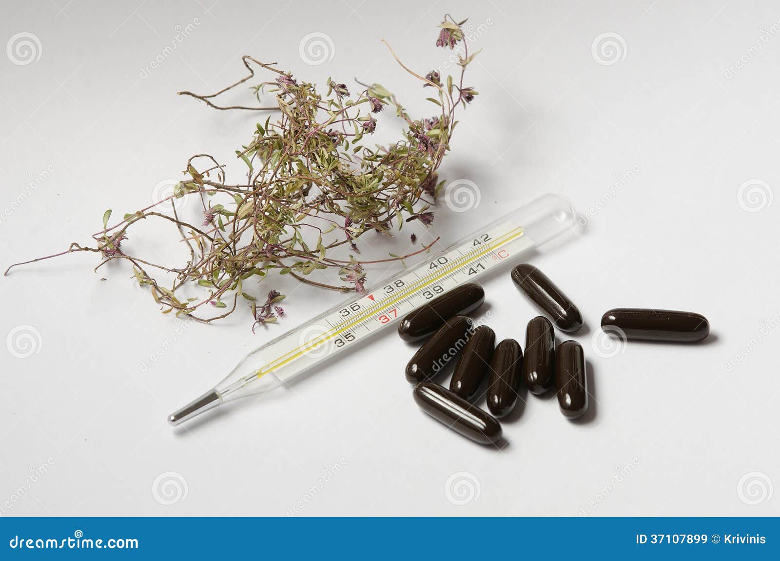 Traditional Vs Alternative Medicine Thyme Thermometer Pill Stock Photos