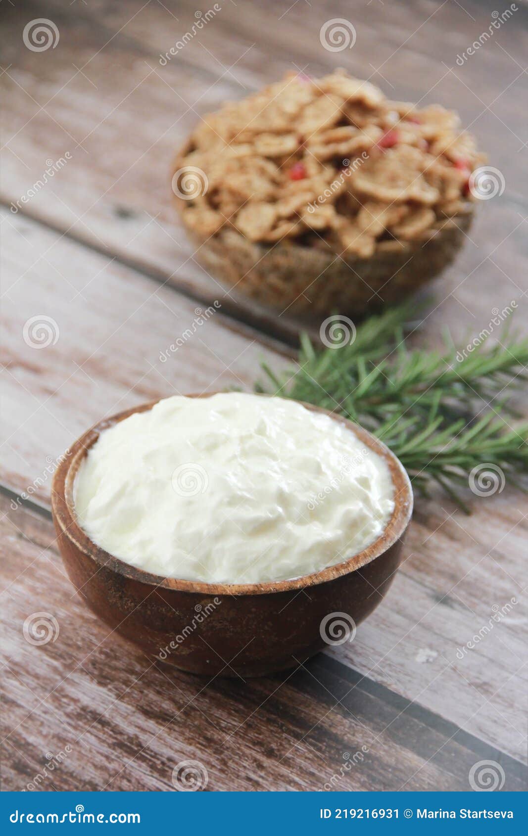Traditional White Turkish Yogurt on a Plate Stock Image Image of