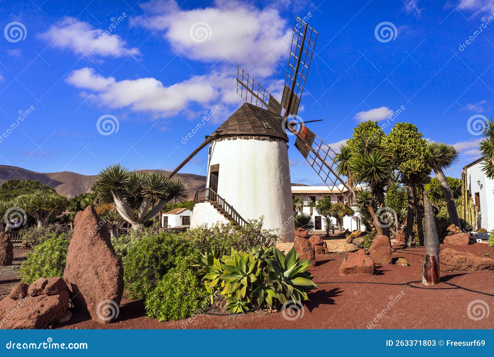 traditional windmill in antigua village.fuerteventura, canaries