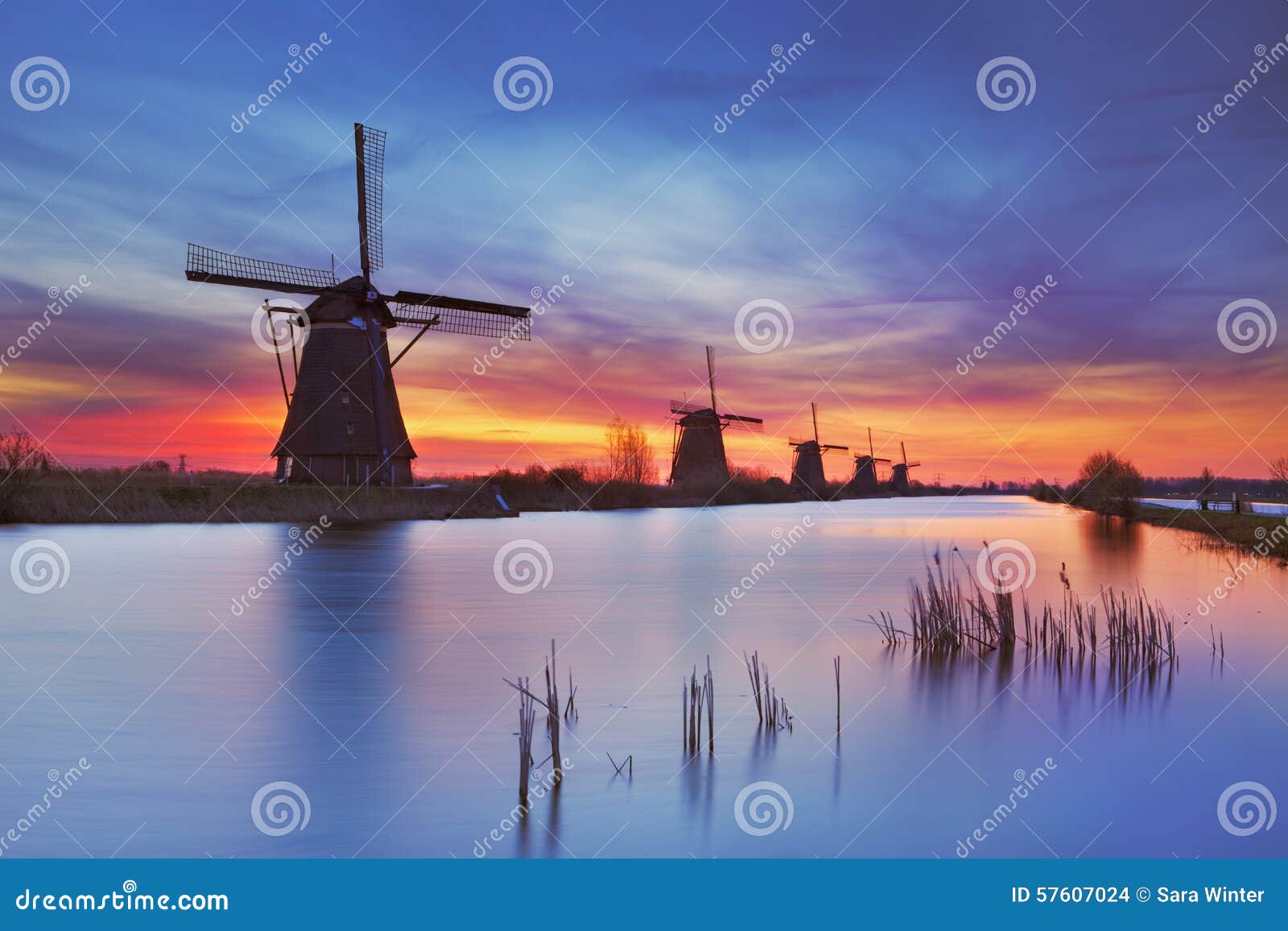 traditional windmills at sunrise, kinderdijk, the netherlands