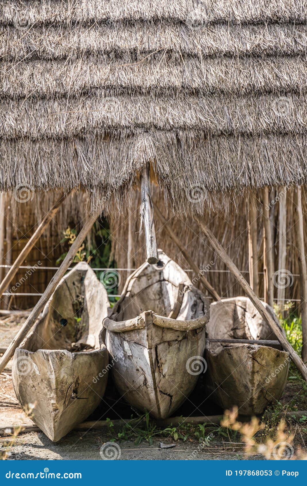 traditional wooden fishing pirogues