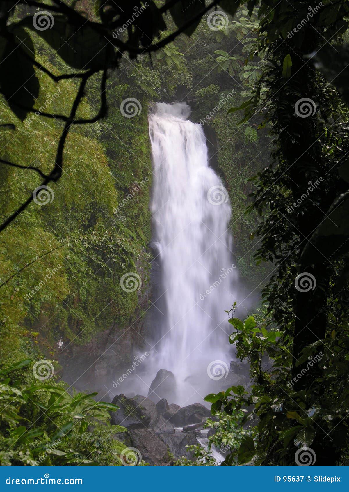 Trafalgar Fall stock image. Image of trafalgar, high, forest - 95637