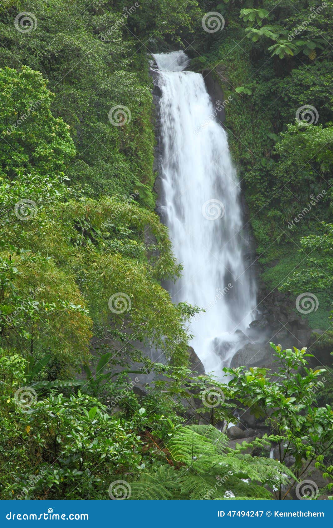 trafalgar falls in dominica ,caribbean islands