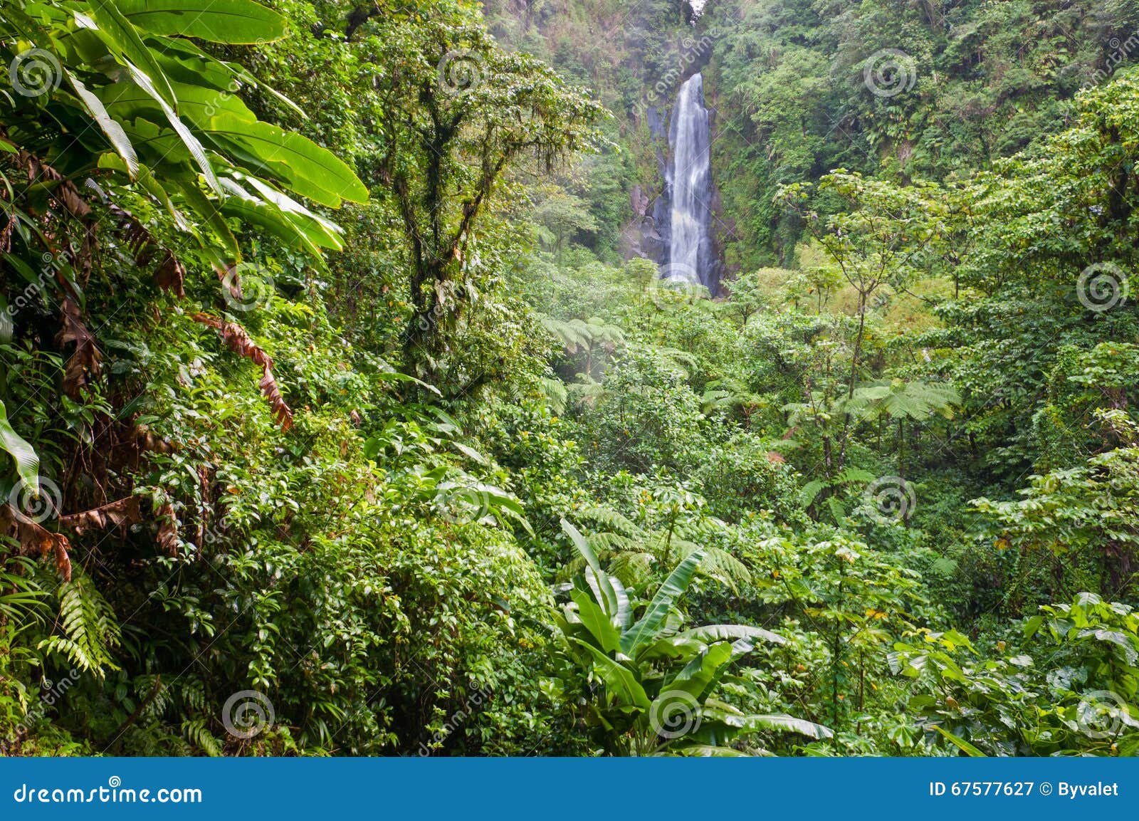 trafalgar falls, dominica